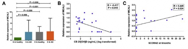 제대혈 비타민 D 농도에 따른 MICAL3 유전자의 발현 비교
