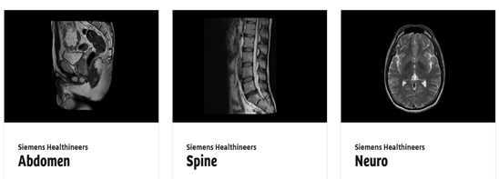 ▲다이콤 이미지 갤러리를 통해 확인할 수 있는 고해상도 임상 이미지들(좌측부터 복부, 척추, 뇌)
